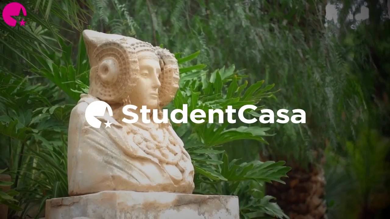 Alojamientos-en-Elche - Pulso Turistico