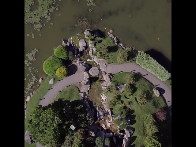 Descubriendo-la-Magia-de-los-Jardines-Japoneses-Paz-y-Serenidad - Pulso Turistico