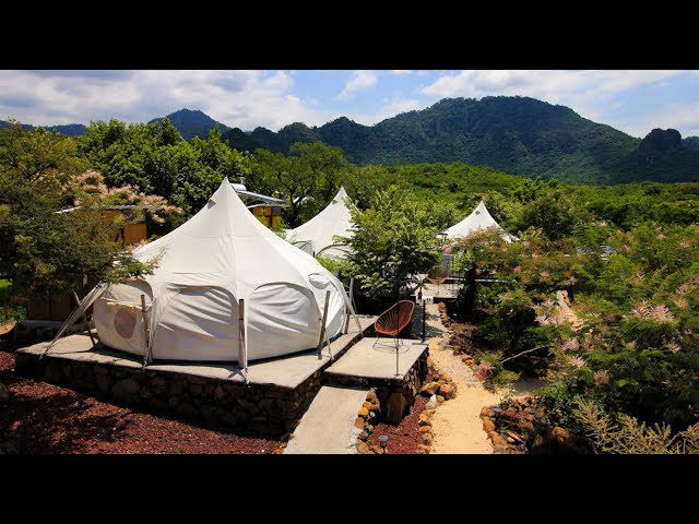 Experiencias-de-Camping-de-Lujo-Glamping-en-Entornos-Naturales - Pulso Turistico