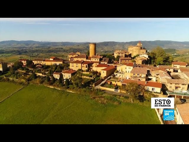 Rutas-Vinicolas-Descubriendo-los-Secretos-del-Vino-en-el-Mundo - Pulso Turistico