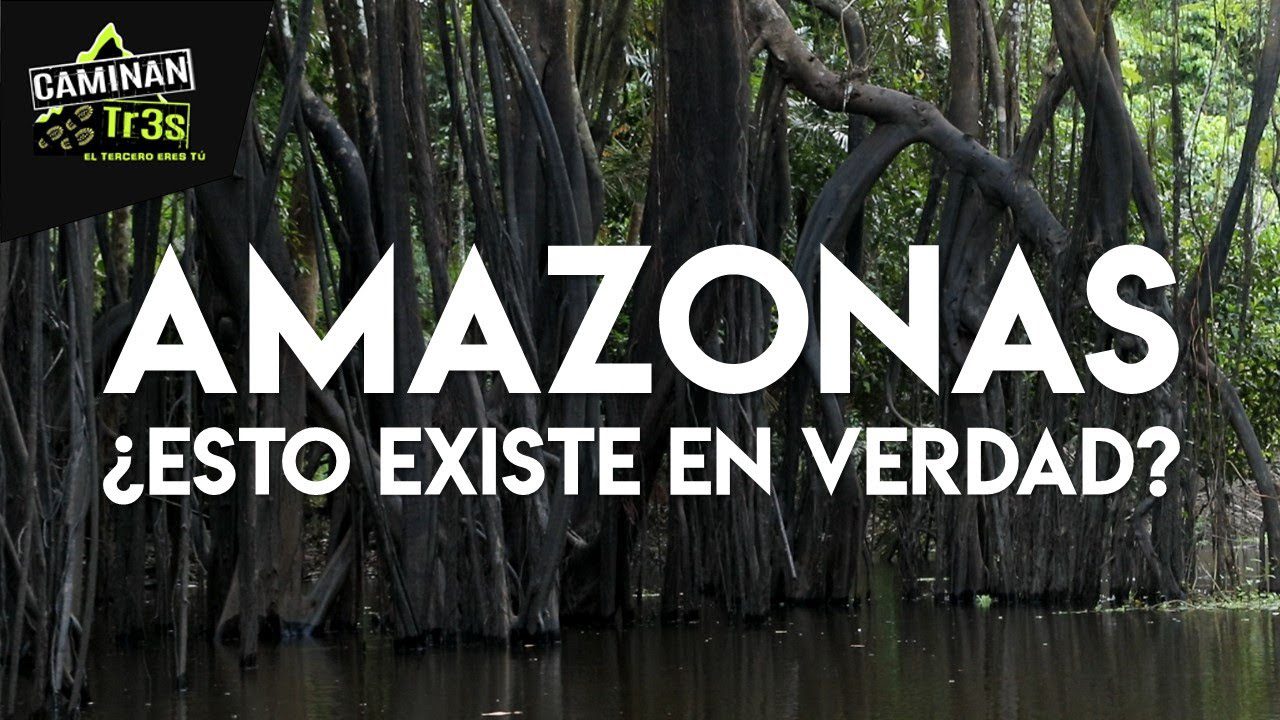 Rutas-de-Aventura-Explorando-la-Selva-y-la-Fauna-Salvaje - Pulso Turistico