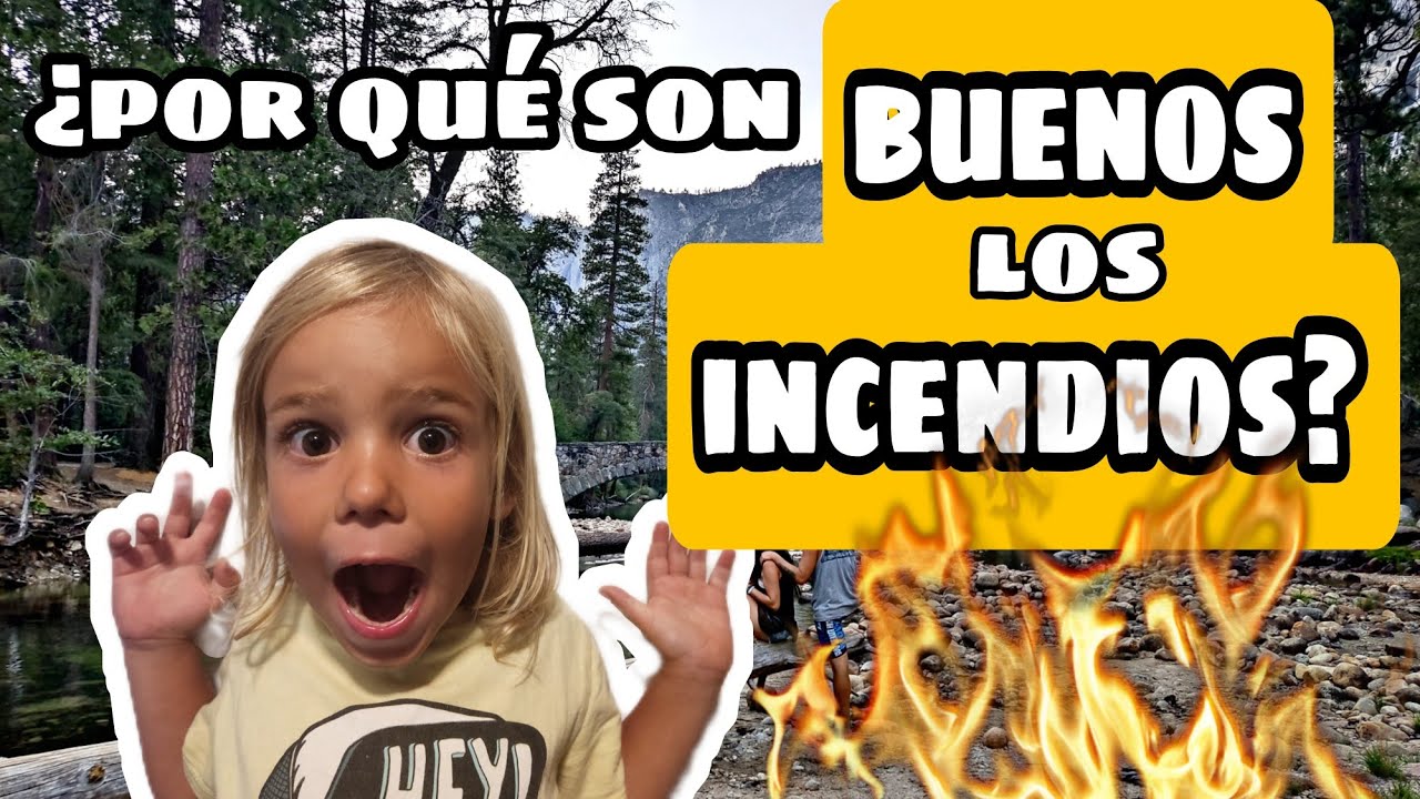 Viaje-en-Autocaravana-Explorando-Parques-Nacionales - Pulso Turistico