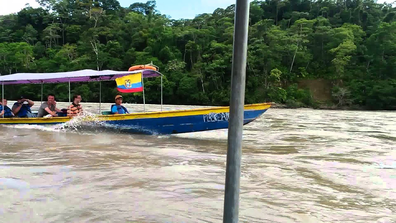 Viaje-en-Canoa-Navegando-por-Rios-Serpenteantes-y-Lagos-Tranquilos - Pulso Turistico