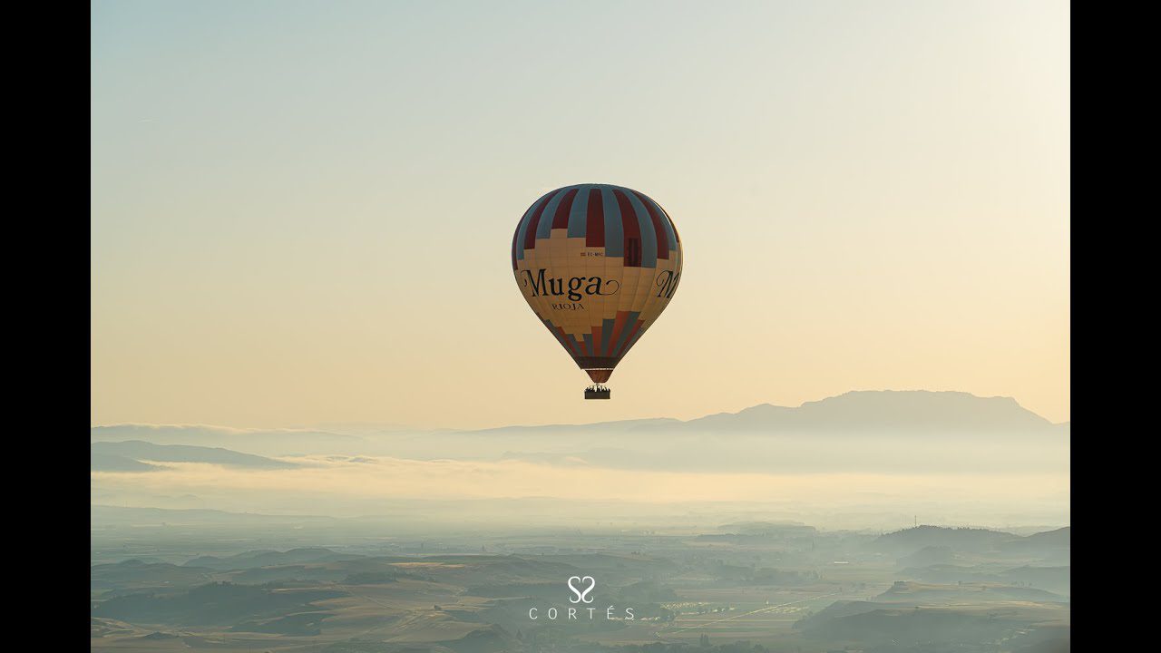 Viaje-en-Globo-sobre-Vinedos-Vistas-Aereas-y-Degustaciones-de-Vino - Pulso Turistico