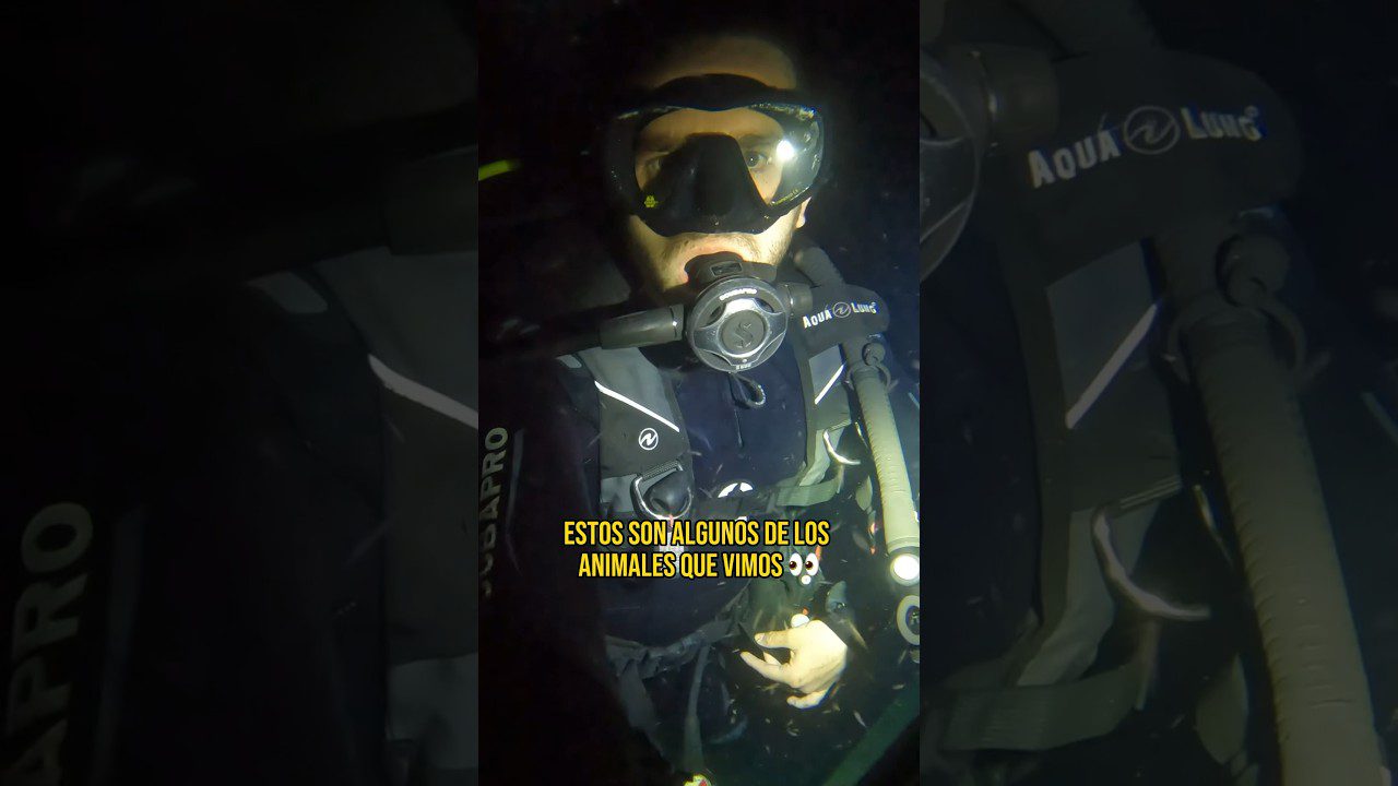 Experiencias-de-Buceo-Nocturno-Descubre-la-Vida-Submarina - Pulso Turistico