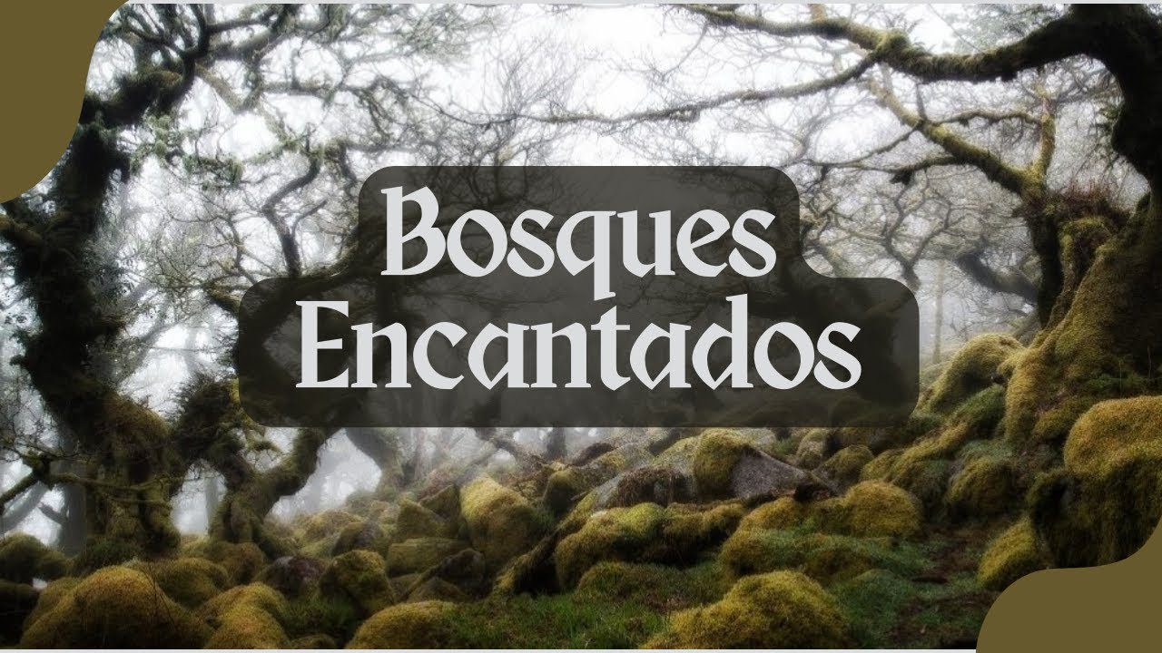 Rutas-de-Cicloturismo-en-Bosques-Encantados-Pedalea-entre-Mitos-y-Leyendas-1 - Pulso Turistico