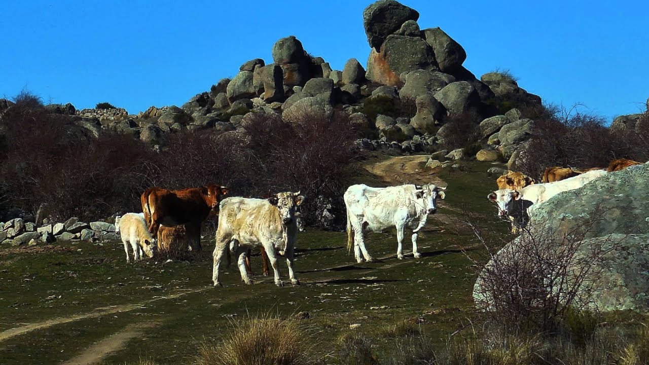 Turismo-en-Bularros - Pulso Turistico