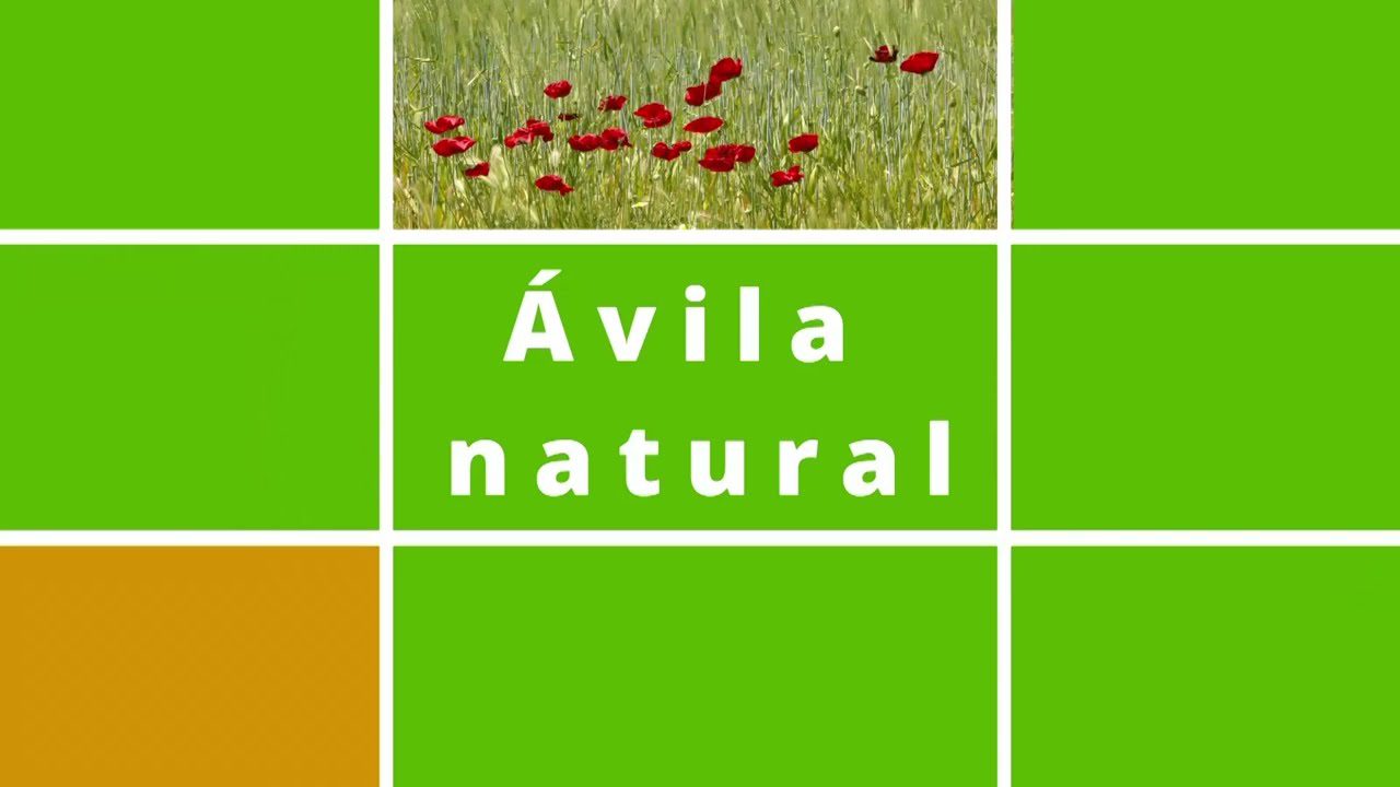 Turismo-en-Navatalgordo - Pulso Turistico