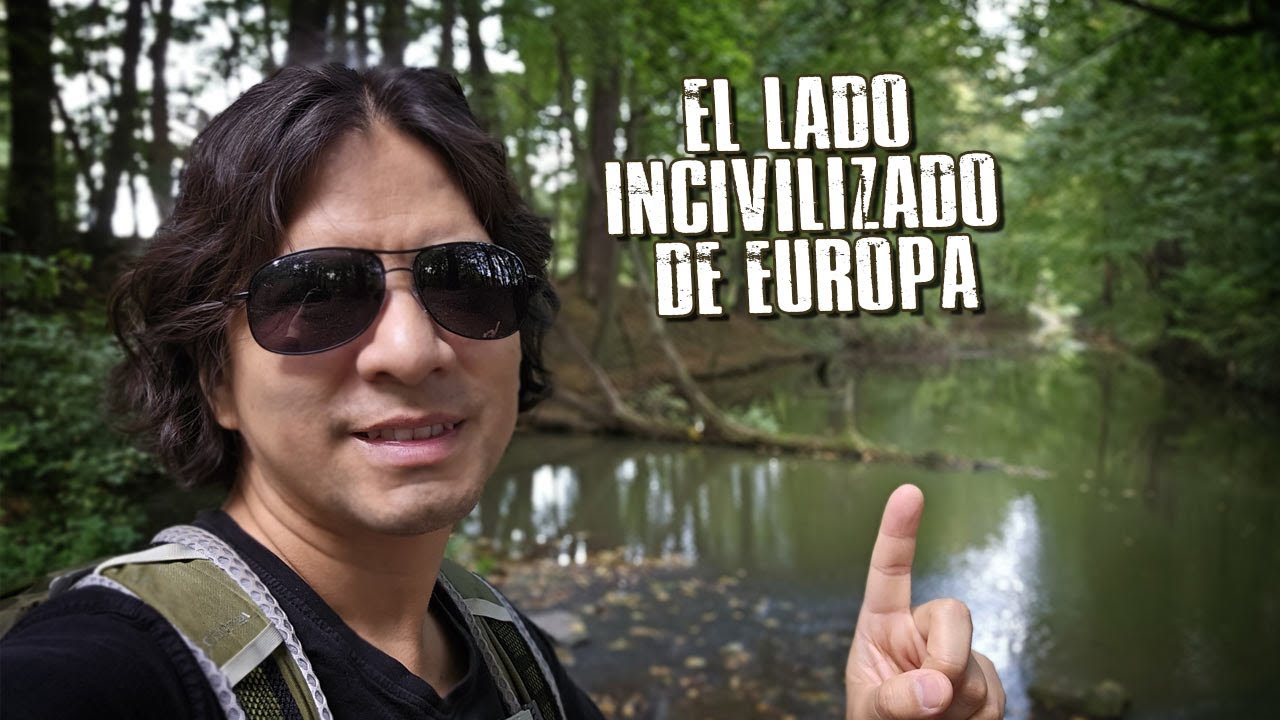 Viaje-en-Carro-de-Tren-Rutas-Escenicas-por-Bosques-de-Coniferas - Pulso Turistico