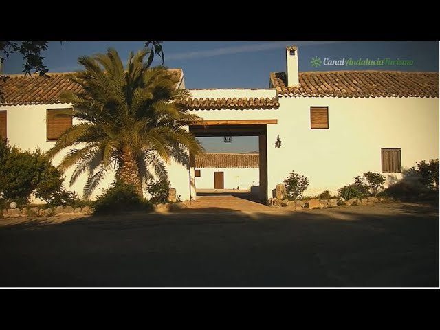 Alojamientos-en-Sotalbo - Pulso Turistico