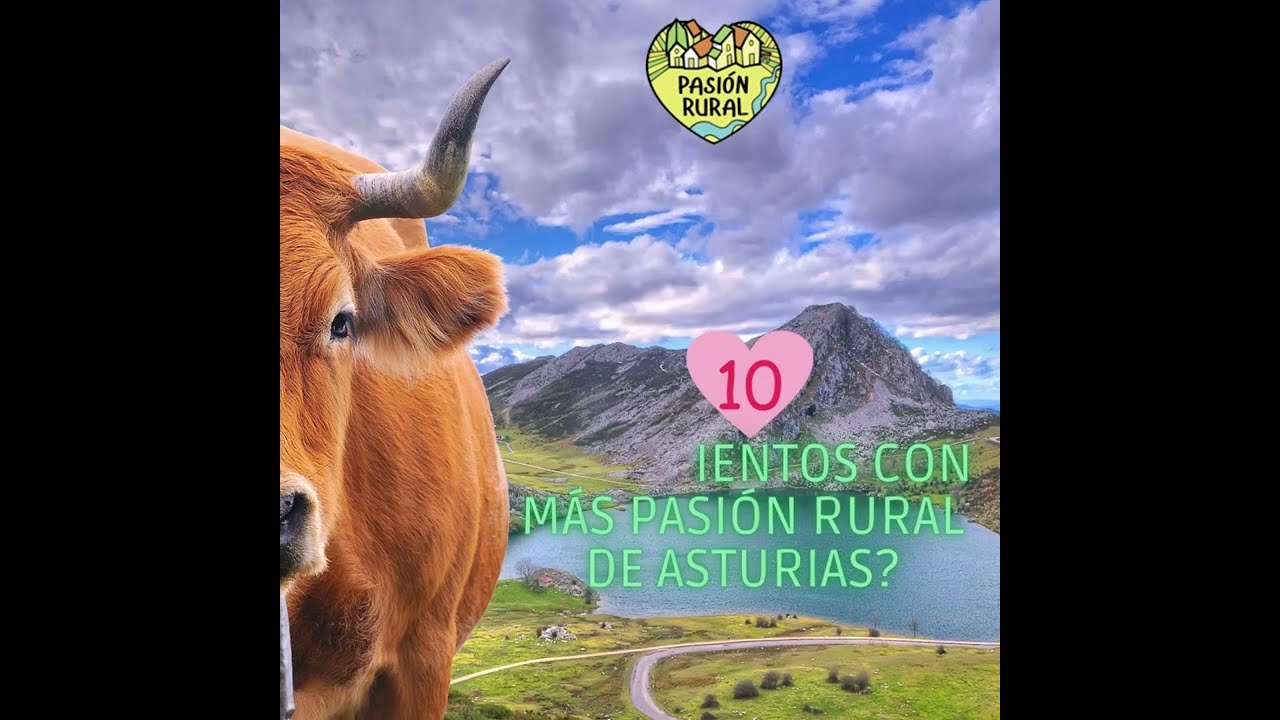 Alojamientos-en-Sotillo-de-la-Adrada - Pulso Turistico