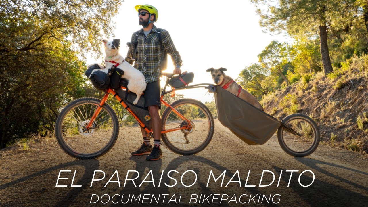 Rutas-de-Cicloturismo-en-Bosques-Encantados-Pedalea-entre-Mitos-y-Leyendas-Magicas - Pulso Turistico