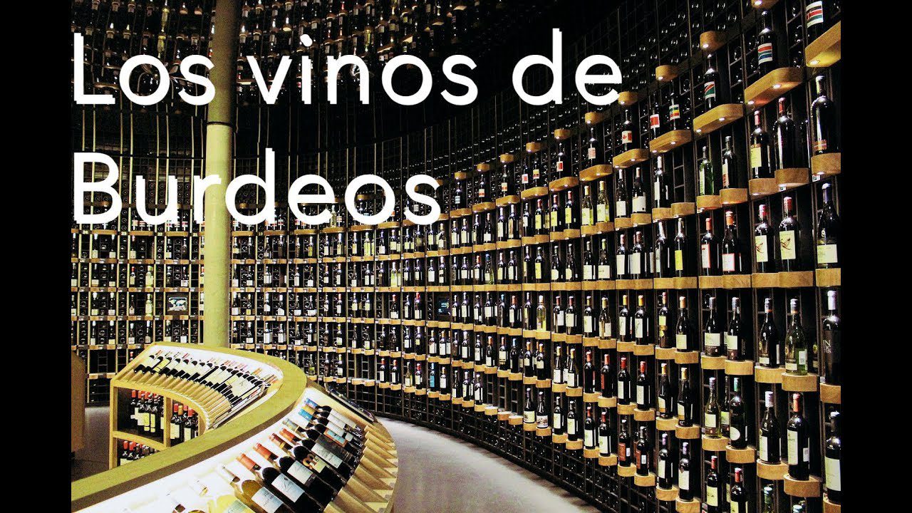 Rutas-del-Vino-en-Burdeos-Catas-en-los-Vinedos-Franceses - Pulso Turistico