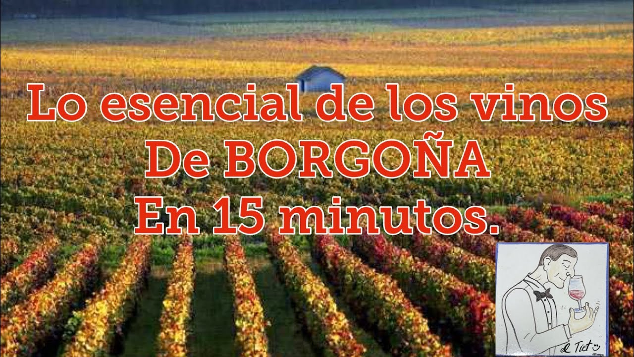 Rutas-del-Vino-en-la-Borgona-Catas-en-la-Cuna-del-Vino-Frances - Pulso Turistico