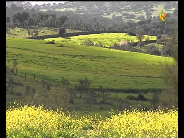 Turismo-en-Higuera-de-Vargas - Pulso Turistico