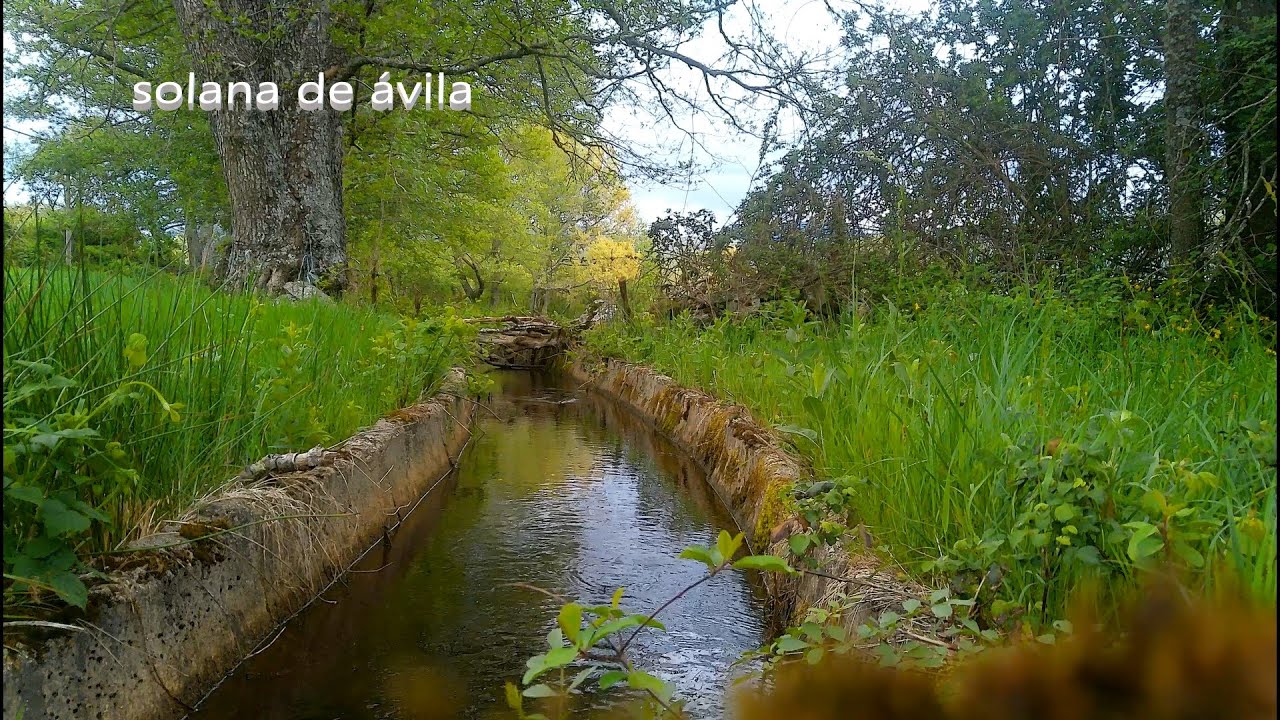 Turismo-en-Solana-de-Avila - Pulso Turistico