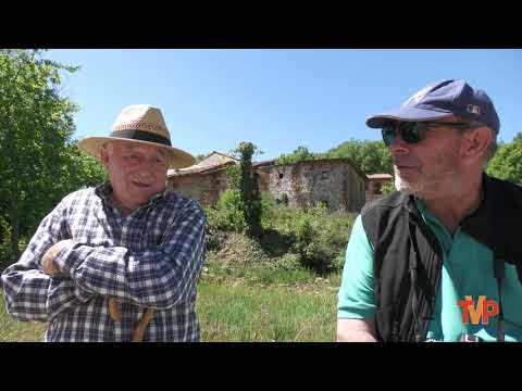 Turismo-en-Tolbanos - Pulso Turistico