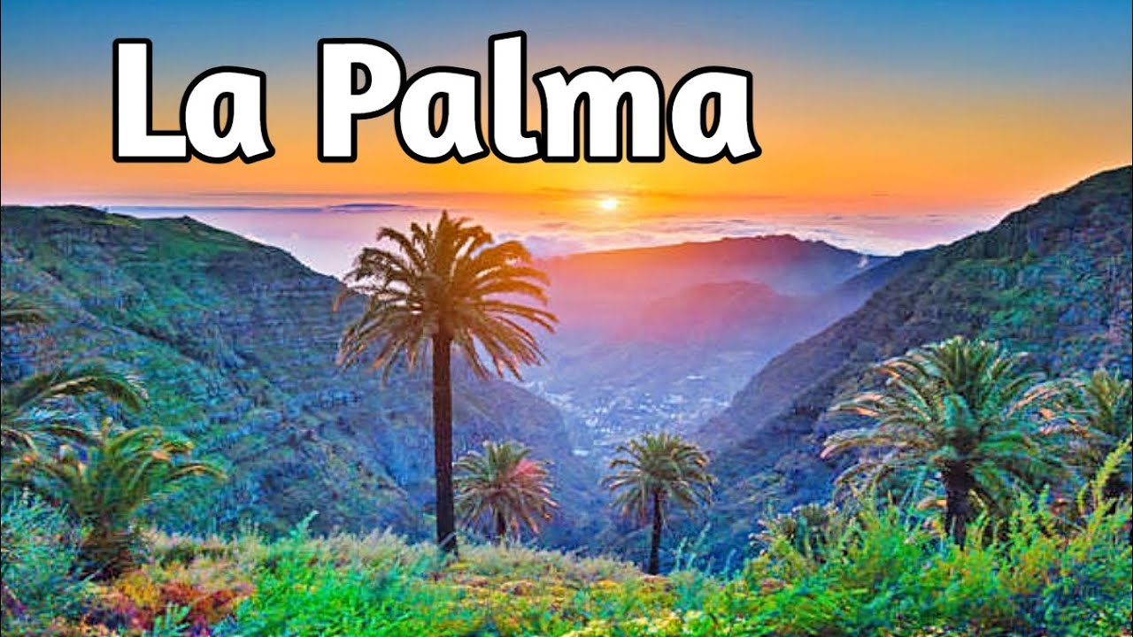 Turismo-en-Palma - Pulso Turistico