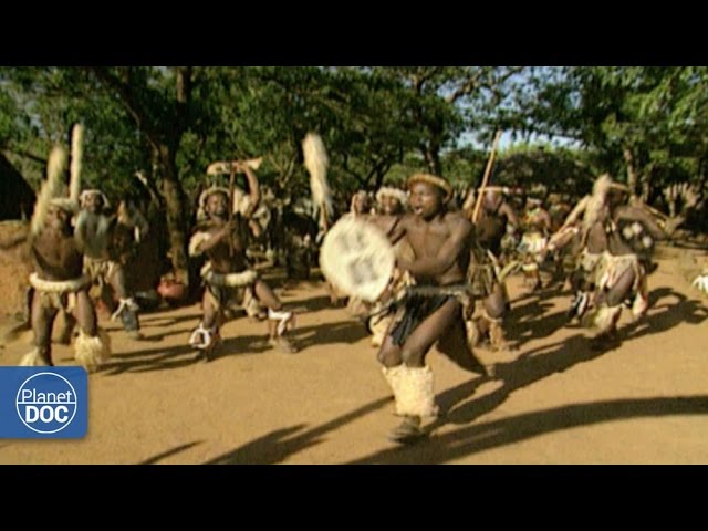 La-Fiesta-de-los-Guerreros-en-Sudafrica-Valentia-y-Tradicion - Pulso Turistico La Fiesta de los Guerreros en Sudáfrica: Valentía y Tradición