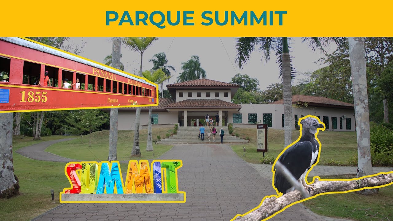 Información e historia de Summit Air