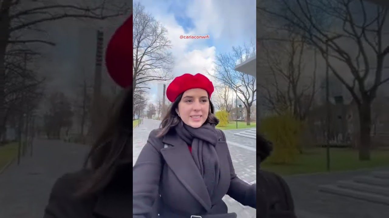 Emigrar-al-norte-digital-Todo-lo-que-necesitas-saber-sobre-Estonia - Pulso Turistico Emigrar al norte digital: Todo lo que necesitas saber sobre Estonia