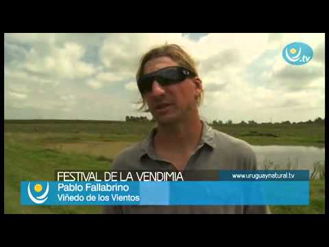 La Fiesta de la Vendimia en Uruguay: Vino y Tradición