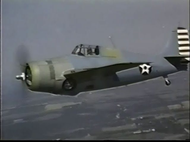 Informacion-e-historia-de-Wildcat-Touring - Pulso Turistico Información e historia de Wildcat Touring