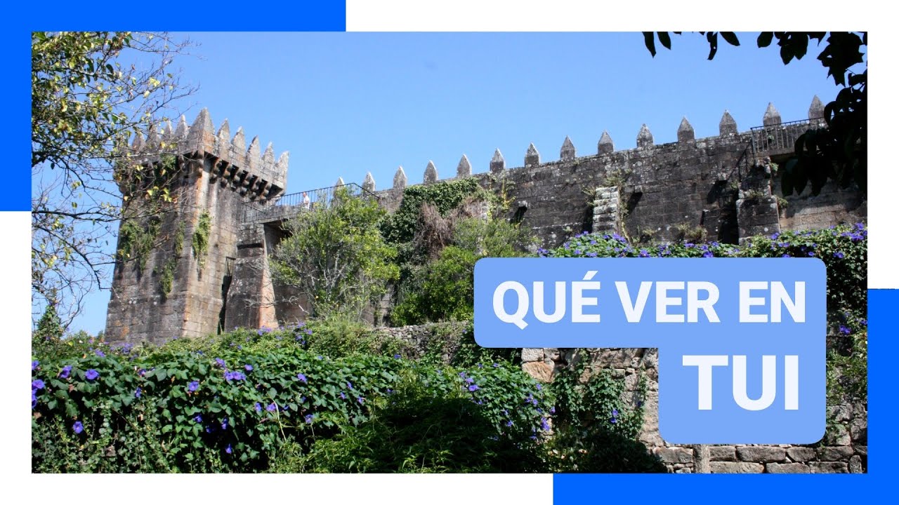 Información e historia de TUI