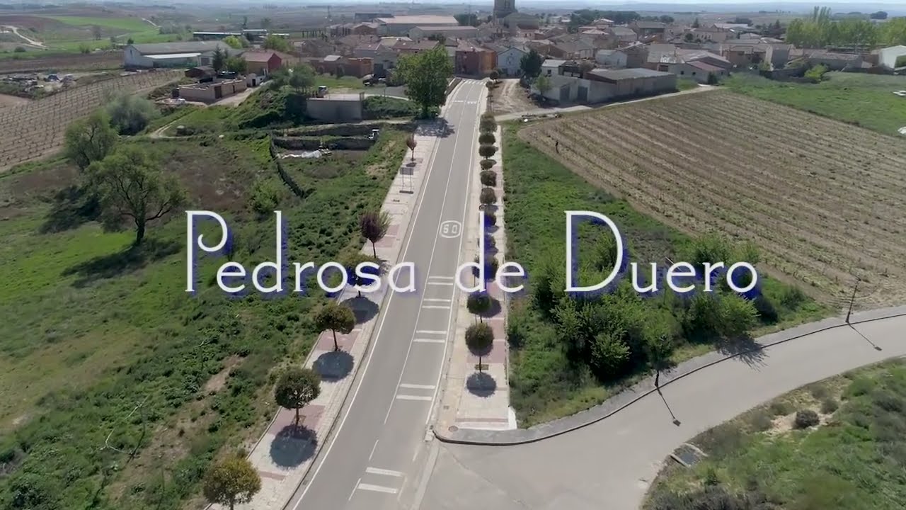 Turismo-en-Pedrosa-de-Duero - Pulso Turistico Turismo en Pedrosa de Duero