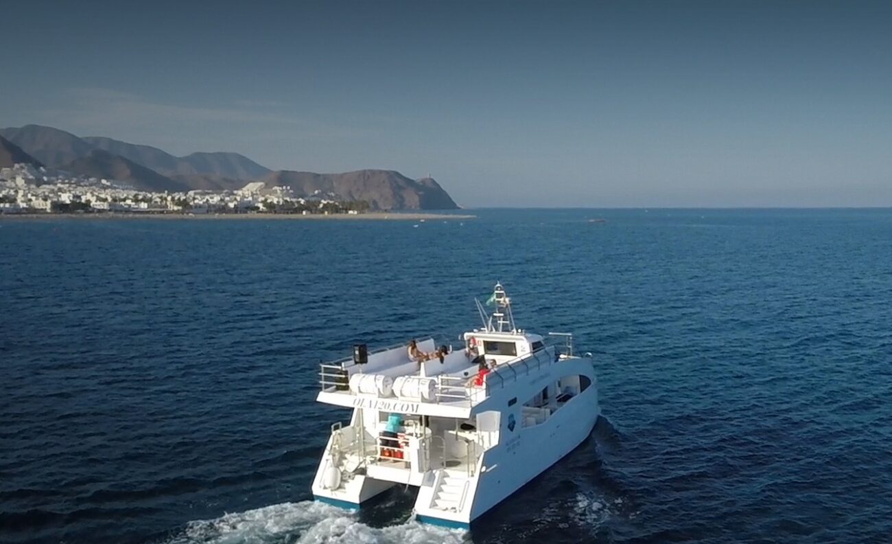 746946 - Ola120 - Pulso Turistico